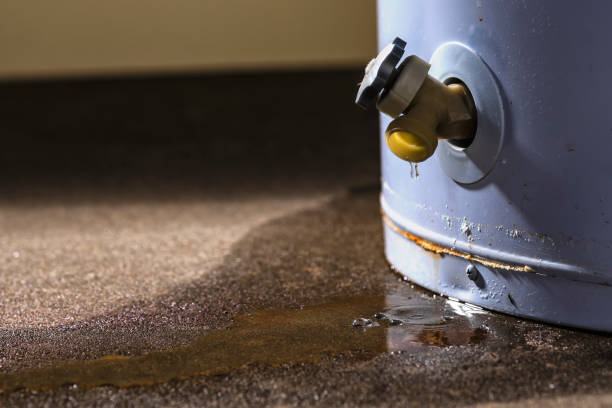 Best Local water damage restoration  in Zapata, TX