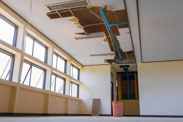 Best Commercial water damage restoration  in Zapata, TX