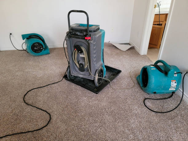 Professional Water damage restoration in Zapata, TX