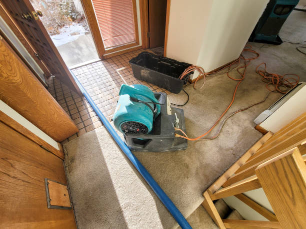 Best Water damage restoration near me  in Zapata, TX