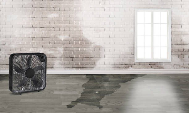 Best Emergency water damage restoration  in Zapata, TX
