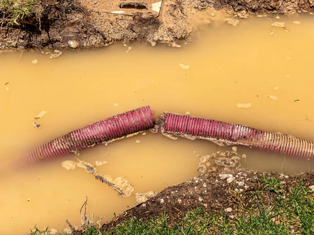 Best Water damage restoration mold remediation  in Zapata, TX