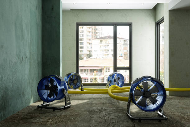 Best Ceiling water damage repair  in Zapata, TX