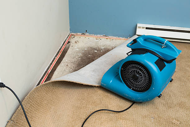Fire Damage Restoration in Zapata, TX